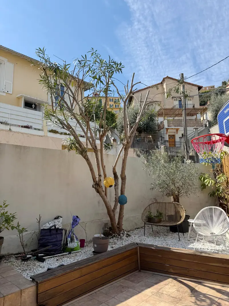 Après : le même arbre éclairci jusqu'à ses branches maîtresses, cour dégagée avec banc en bois et fauteuils