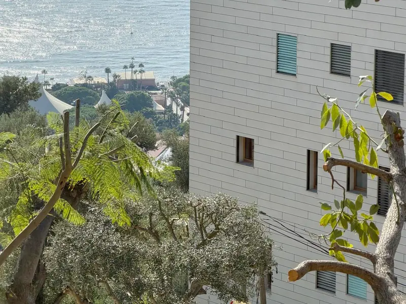 Jardin en pente au-dessus de la mer : arbres aux branches coupées net, olivier, immeuble blanc à côté, palmiers en contrebas