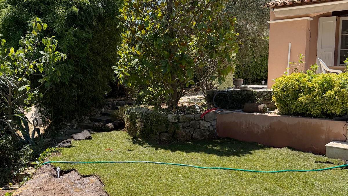 Gazon en rouleaux déroulé au pied d'un magnolia, tuyau d'arrosage posé dessus, maison aux murs roses