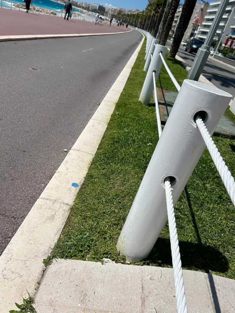 Après : la même bande de gazon nette, sans pissenlits, bordure dégagée au pied des poteaux à cordage