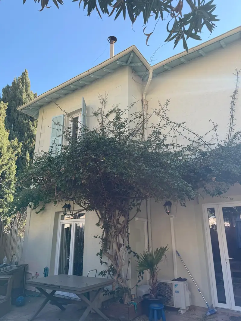 Avant : façade d'une maison aux volets vert d'eau, envahie par une grimpante aux longues tiges qui montent jusqu'au toit