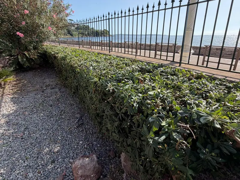 Haie basse taillée le long d'une grille en fer forgé, allée de gravier et laurier-rose en fleurs, la mer derrière la grille