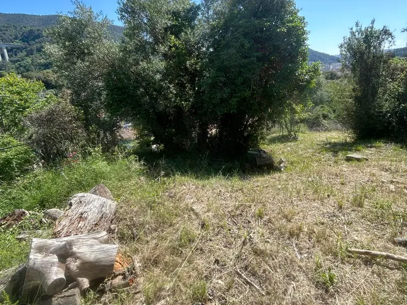 Terrain aux herbes sèches fauchées, gros arbustes gardés, tronçons de bois empilés au premier plan, collines au fond