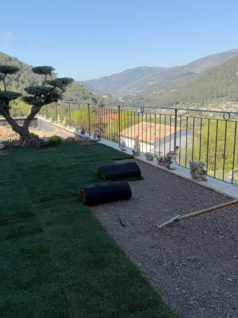 Après : la même terrasse couverte de gazon en rouleaux, olivier taillé en nuage, vallée et collines au fond